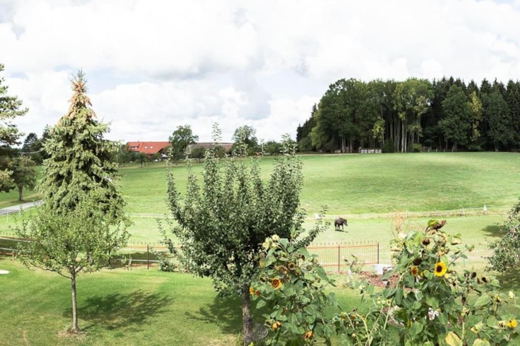 Naturidyl Schneckenbuch Weissensberg Exterior photo